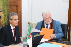 فن التزيين بالحلي الفضي المينائي اللباس النسوي لمنطقة القبائل : صناعة وتفصيل وارتداء