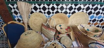 5-_Ensemble_de_produits_-fibres_vgtales.jpg